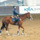홀스 - 관악구 신림로59길 7 | 홀스