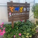 봉화에버로즈 영농조합법인 | [경북농민사관학교] 수출특화 화훼작물 현장견학 (거베라, 피콜리니 시설하우스)