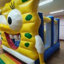 푸른나무 태권도 이미지