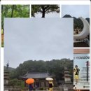 (주)영동여행사 이미지