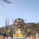 내연산치유의숲 Daum카페