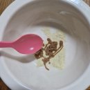 경북가축병원 | 강아지 혈변치료