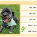 (주)바마
