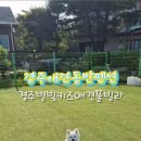 경주 별빛키즈 애견 풀빌라 이미지