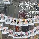 59펫살롱 이미지