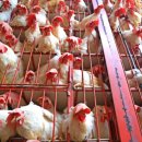 혜린농장 이미지