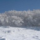 소백산식물원