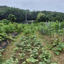 처음농장 이미지