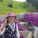 보필동래 이미지