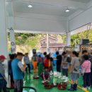 통영로즈힐펜션 | 통영 로즈힐펜션 여행 중에 가기좋은 펜션 그리고 성포항 자연산 광어 경매 후기