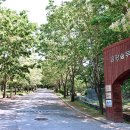 황토메타길 이미지