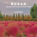 황강생태공원 A-02 | 부산 가을 가볼만한곳 화명생태공원 댑싸리 메타세콰이어길 위치 주차장