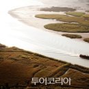 자연의선율 이미지