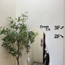 [서울/강남] 선릉미용실 분야디 클리닉 : 프롬어스헤어선릉역점 도강훈 점장님
