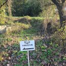 온더키친 | 청도애견펜션 스테이온더힐 방문 솔직 후기