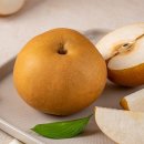 더자인 쇼핑하우