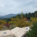 한티 별빛아래 관광농원 야영장 이미지