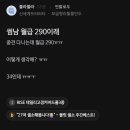 썸남 월급이 290이래 ㅠㅠ 34살인데 이미지