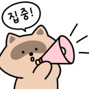 산리쯔헤어 이미지
