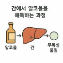 광제한의원 | 숙취해소에 좋은 &#39;신선불취단&#39;, 술자리가 많아서 고민이라면?