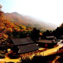 구룡사 - 1336 | 구룡사