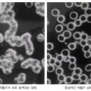 천문한의원 이미지