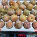 댄디농장 이미지