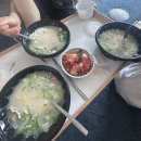 다은동물병원 | 7