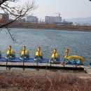 01-20 동구 이미지