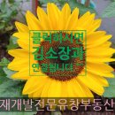 유창공인중개사사무소 이미지