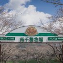 상순목장 네이버블로그