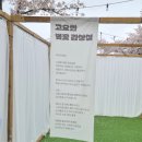 친구와 돌담길 | 비 온 뒤 경주 대릉원 돌담길 축제 다녀온 후기 (내일까지 꼭 가보세요!)