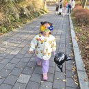 가을동물원 | 서울대공원 동물원 방문 후기 | 가을 가족 나들이 추천 코스 & 다둥이 혜택 정보