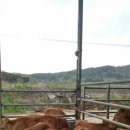 연흥농장 이미지