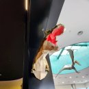 진주익룡발자국전시관 이미지