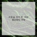 신세계미용실 이미지