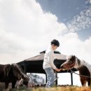 그린승마랜드 이미지