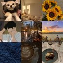 계림약국 | ❥･•25.12 ~ 26.01