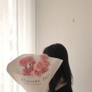 라베일르 이미지