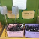 토끼의지혜 이미지