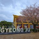 백년벚꽃협동조합 | 황리단길맛집 찾다가 발견한 백년손님 | 경주 여행 중 만난 돼지석쇠 백반정식