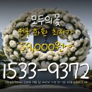 남원의료원장례예식장 | 화환 배달 꽃 배달 신속 배송 모두의꽃 장례식장 강릉의료원 근조 전문