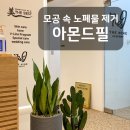 미더베스트 부천점 이미지