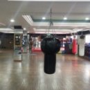 용인대이천복싱체육관 이미지