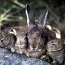 문화동016 이미지