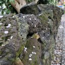 효돈동-4 이미지