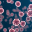 인천수한방병원 이미지