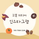 인플루언서마케팅 인스타그램을 활용한 최신 전략