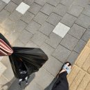 다모인마트 이미지
