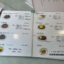 스로모숀